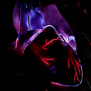 Sneak peek into her body :3