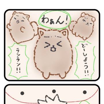 ぽめがば蘭嶺ちゃん