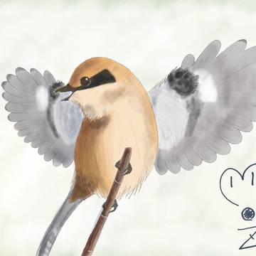 百舌鳥よ枝から何が見えるか