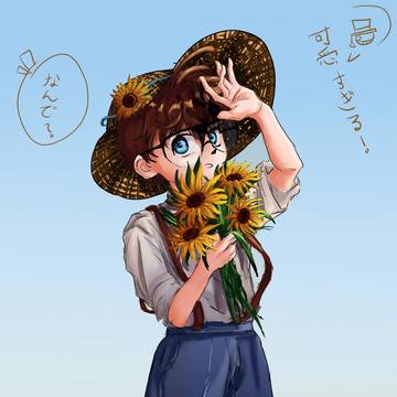 ひまわり