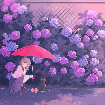 梅雨の隠れ家