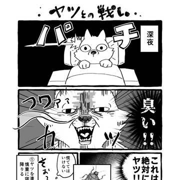 【日記】ヤツ戦記