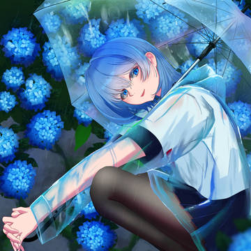 青い紫陽花