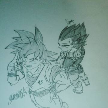 Goku & vegeta