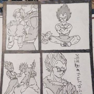 Vegeta & Trunks
