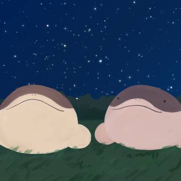 見上げドオー