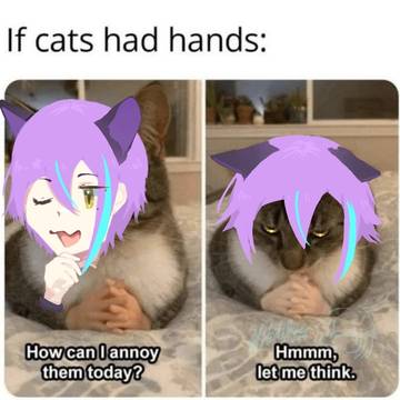 typical Rui behavior
