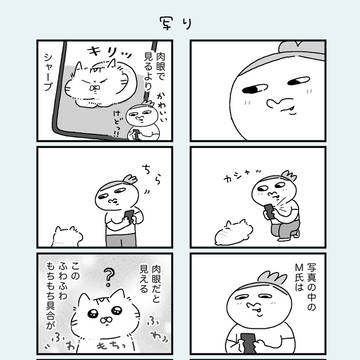 写り