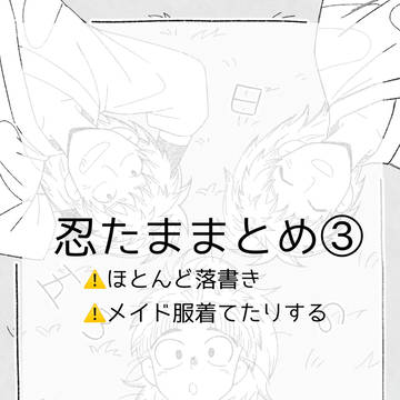 忍たままとめ③