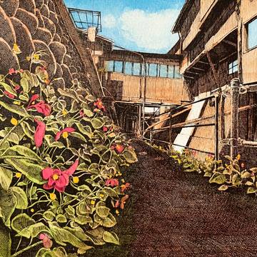 路地裏に咲く