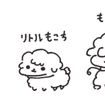 もこもこちの生い立ち