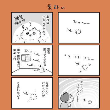 荒野の