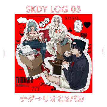 skdy log 03