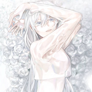 白薔薇