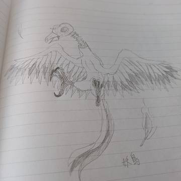 ｳﾜｧ