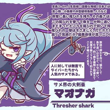 【もちもちサメ図鑑】マオナガ🦈