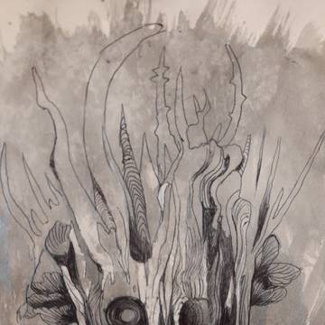 skull26