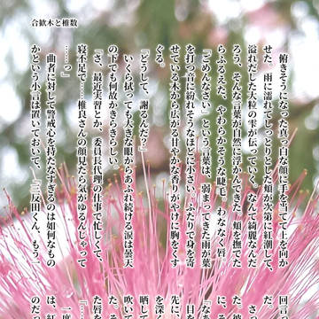 合歓木と椎数