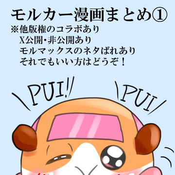 モルカーまとめ①