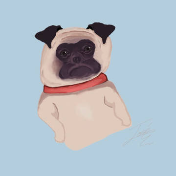 Perrito panchon
