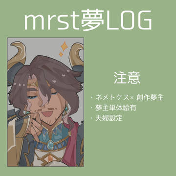 mrst夢まとめ