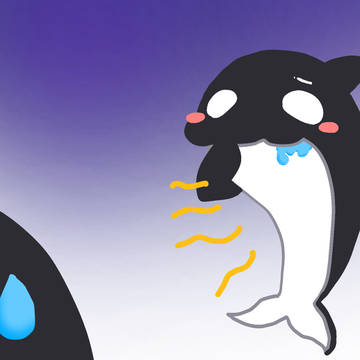 シャチ君