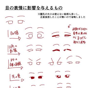 目の表情に影響を与える要素