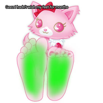 A cat stinky feet