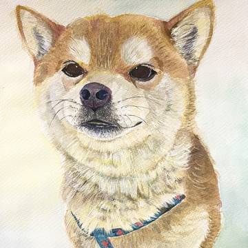 水彩画 柴犬 アナログ