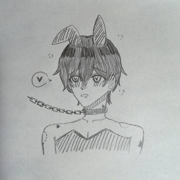 バニーボーイ