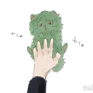 ポメニコルﾜｼｬﾜｼｬ