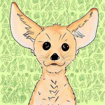 a fennec Fox or a chihuahua?