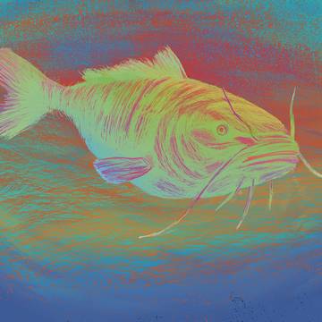 SEA STUDY II