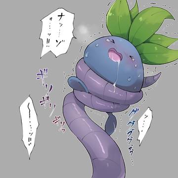 ナッゾ♪