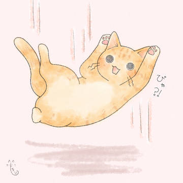 ねこ落ちる