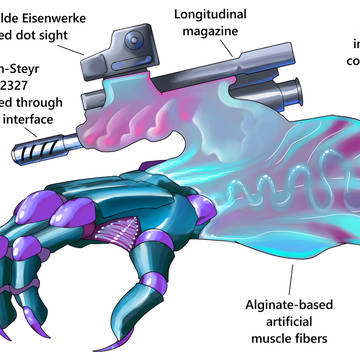 Fire-arm