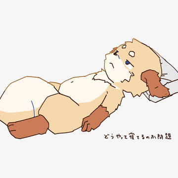 どうやって寝てるのか問題