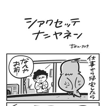 シアワセッテナンヤネン