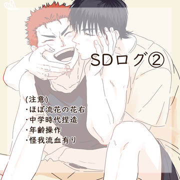 SDまとめ②