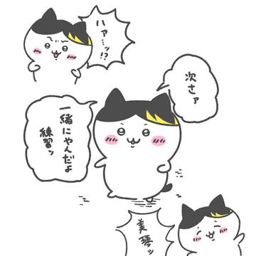 ハチワレルカ