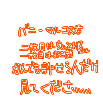 バニーマルコス君