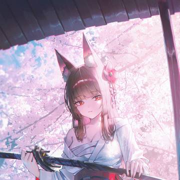 miyabi