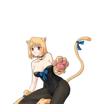 带派大猫脚