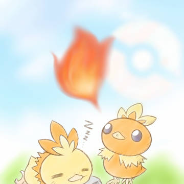 アチャモ🐥