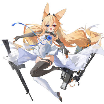 HK G41 IN GFL2
