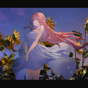 夏の夜