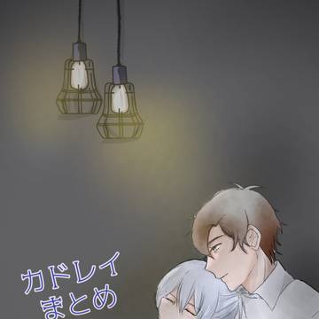 カドレイまとめ