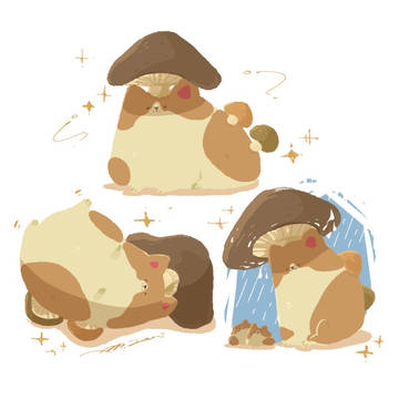 カビの生えたコーギー