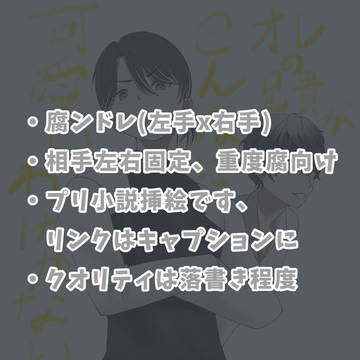 左右プリ小説挿絵