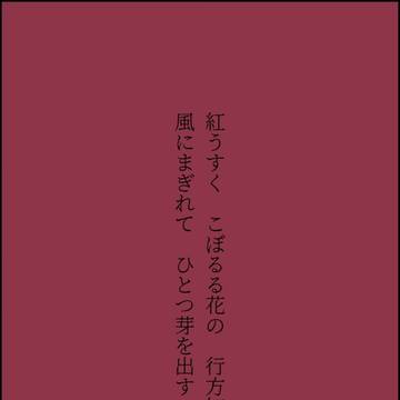 8月5日は加州の日